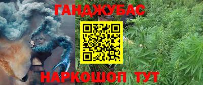 герыч Новодвинск