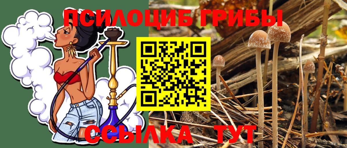 купить закладку  Галлюциногенные грибы Psilocybe  Вход с VPN  Галлюциногенные грибы мухоморы  Усинск 
